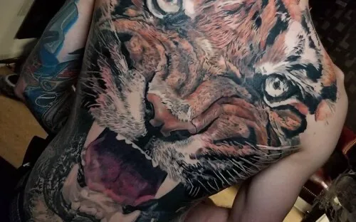 A vividly colored neo-traditional tiger-head back tattoo flanked by two red roses, photographed at Inkcredible Tattoo Studio.